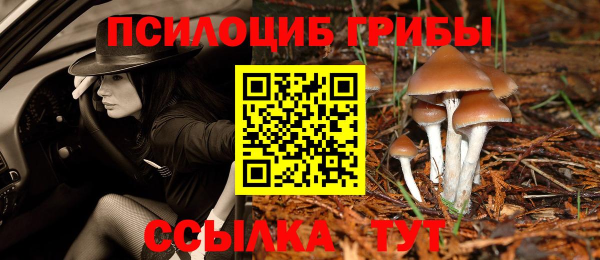 Галлюциногенные грибы прущие грибы Кумертау