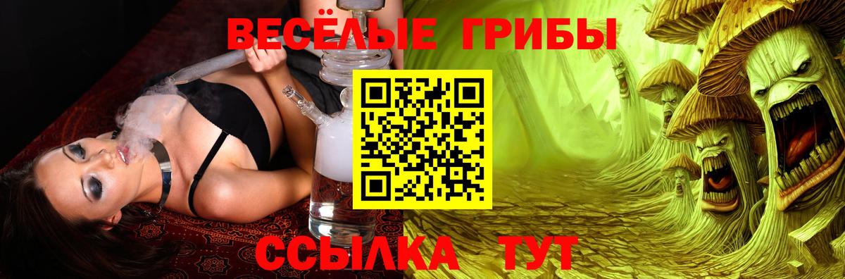 Кумертау  Псилоцибиновые грибы Cubensis  Вход с VPN 